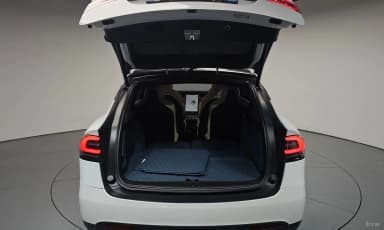 Model X