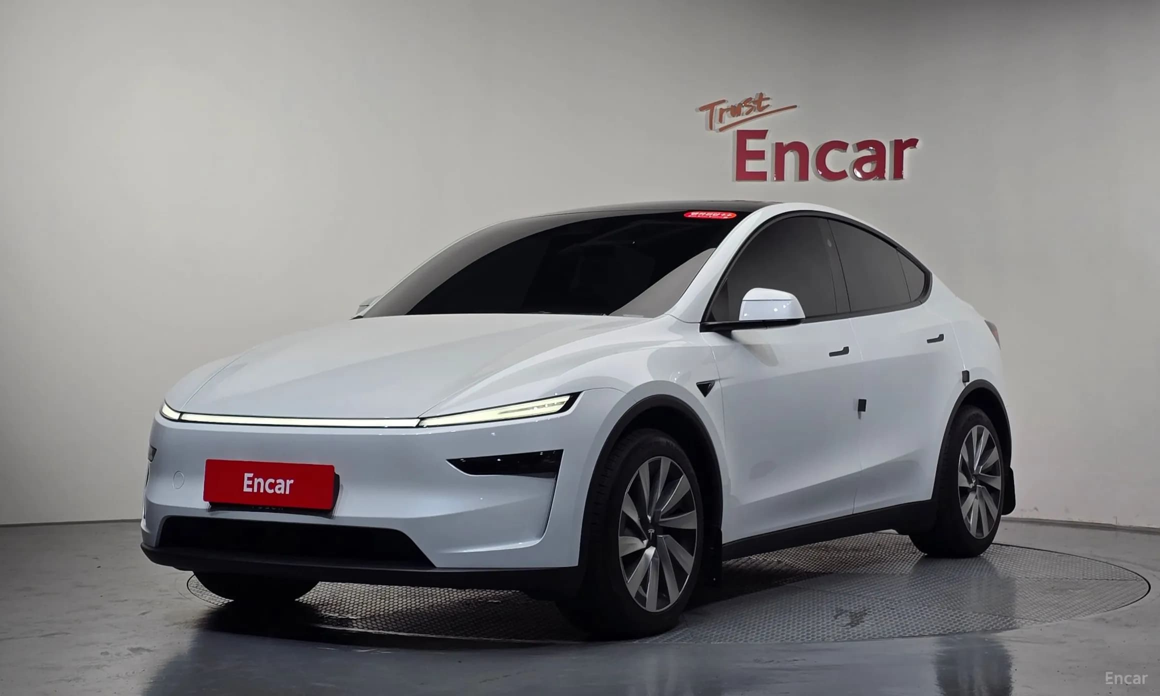 Model Y