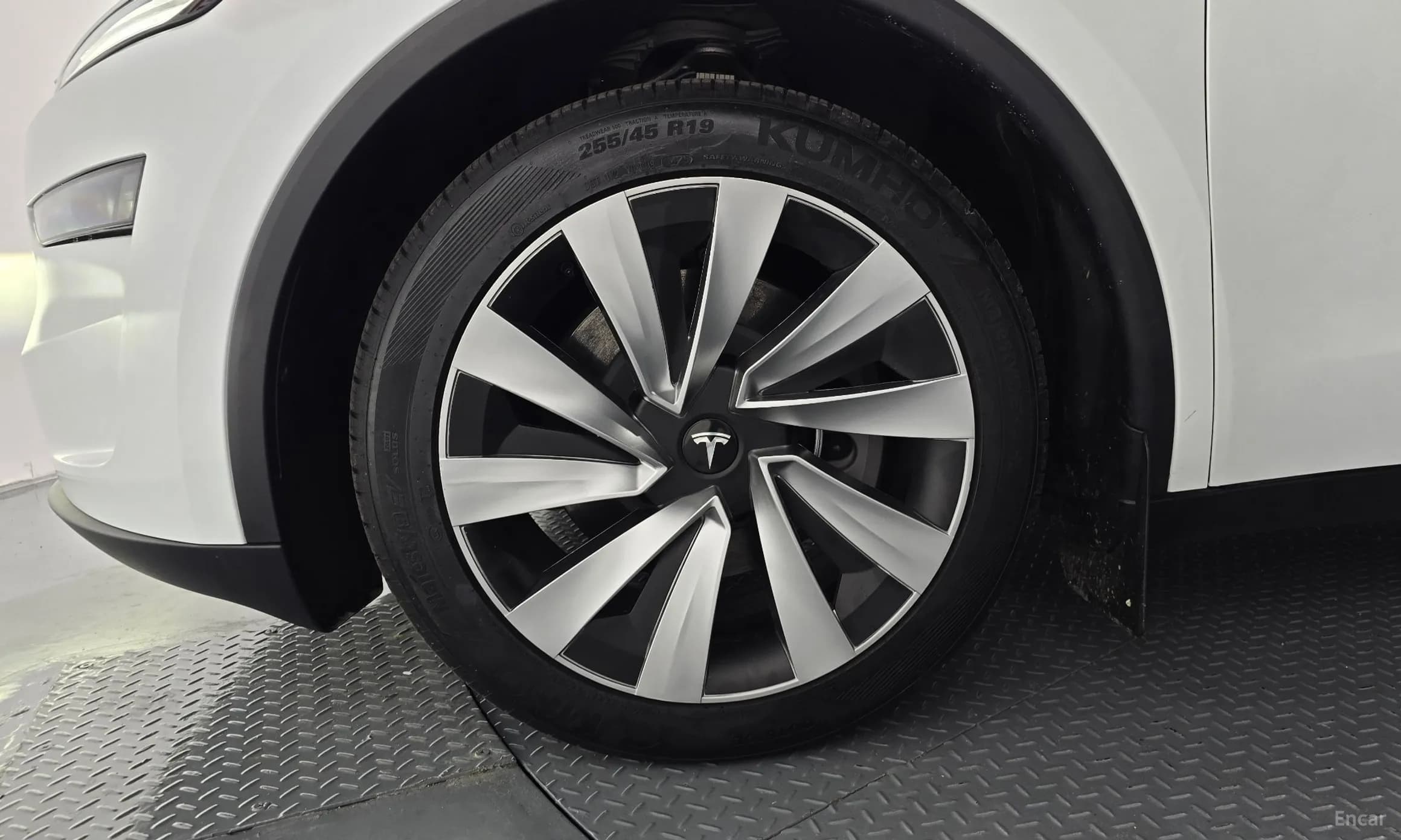 Model Y