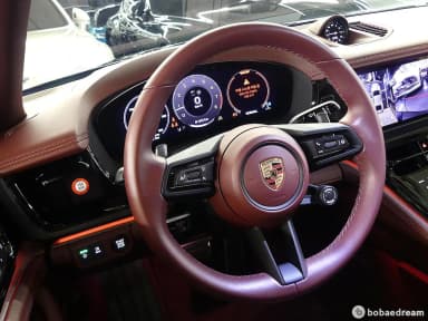 Panamera (976)