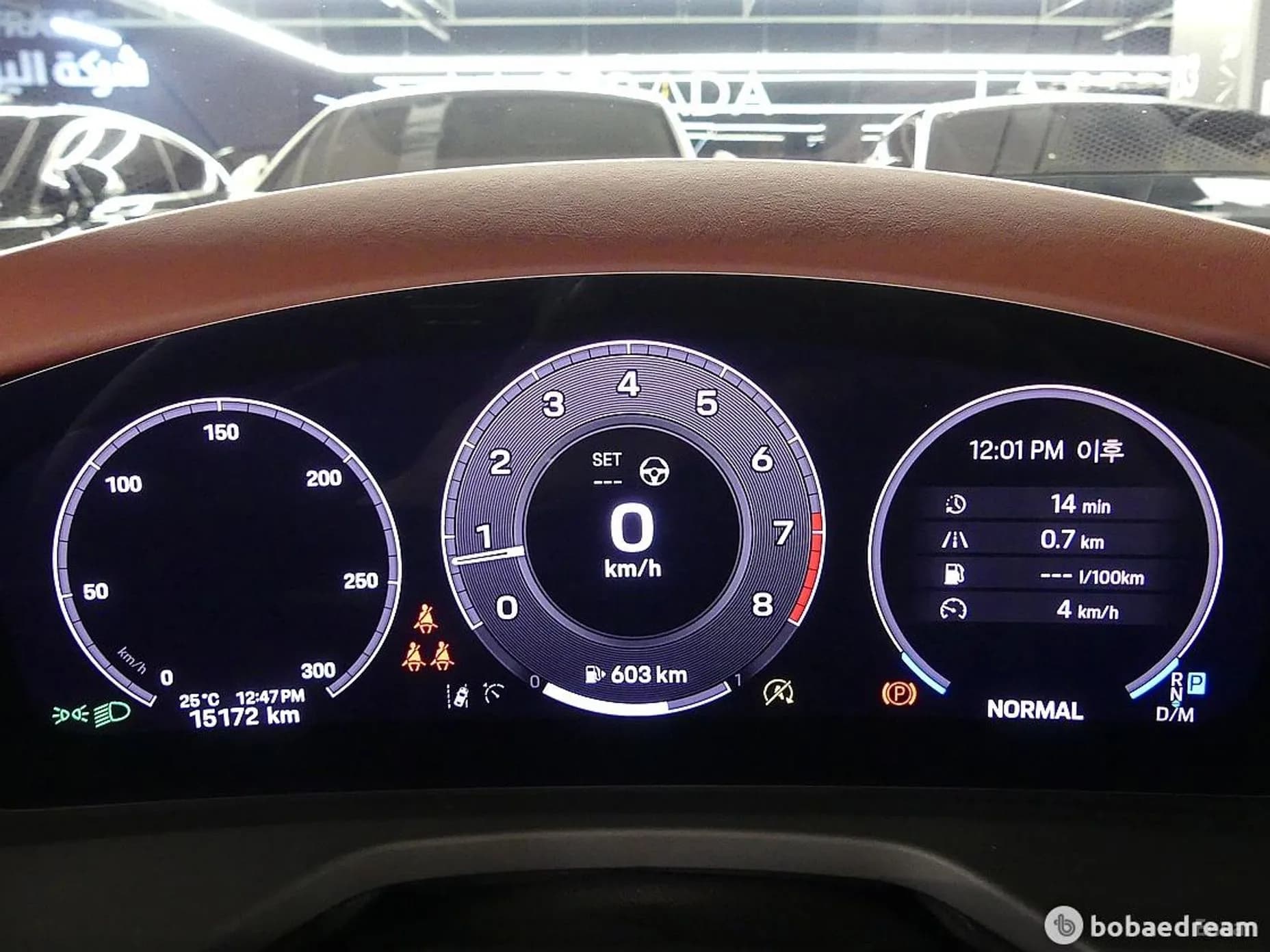 Panamera (976)