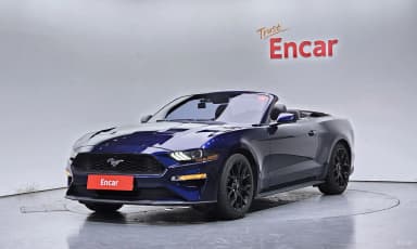 Mustang
