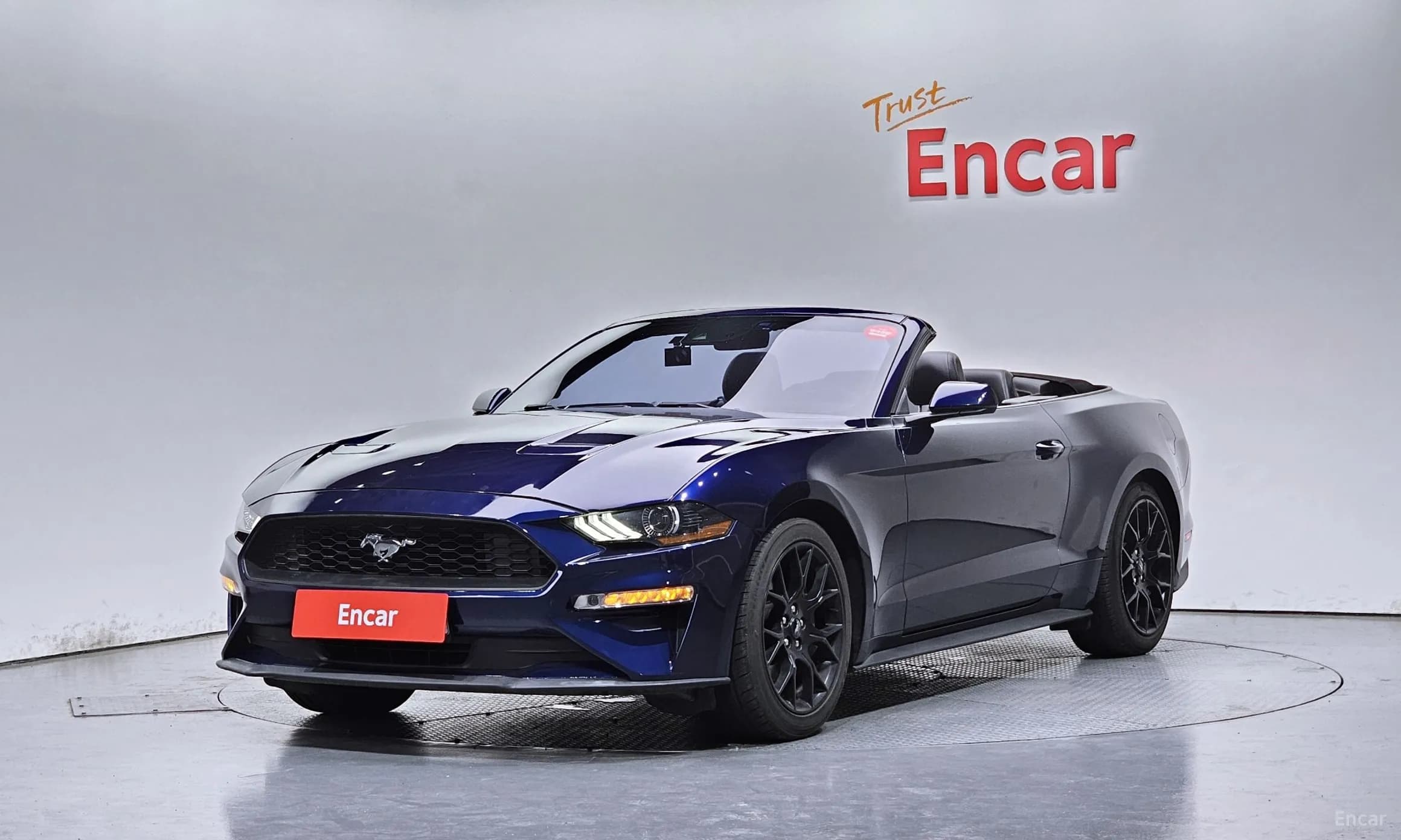 Mustang