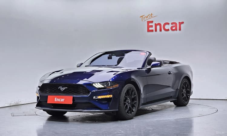 Mustang