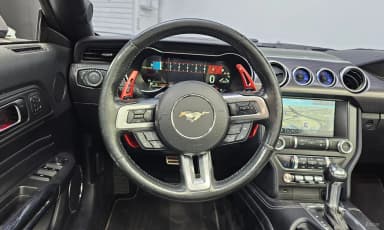 Mustang