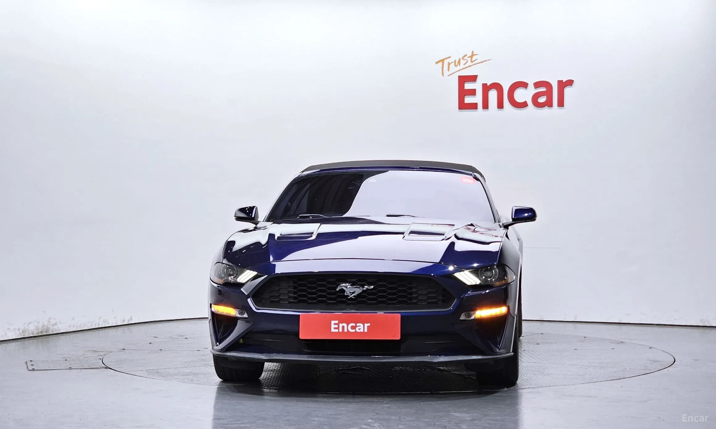 Mustang