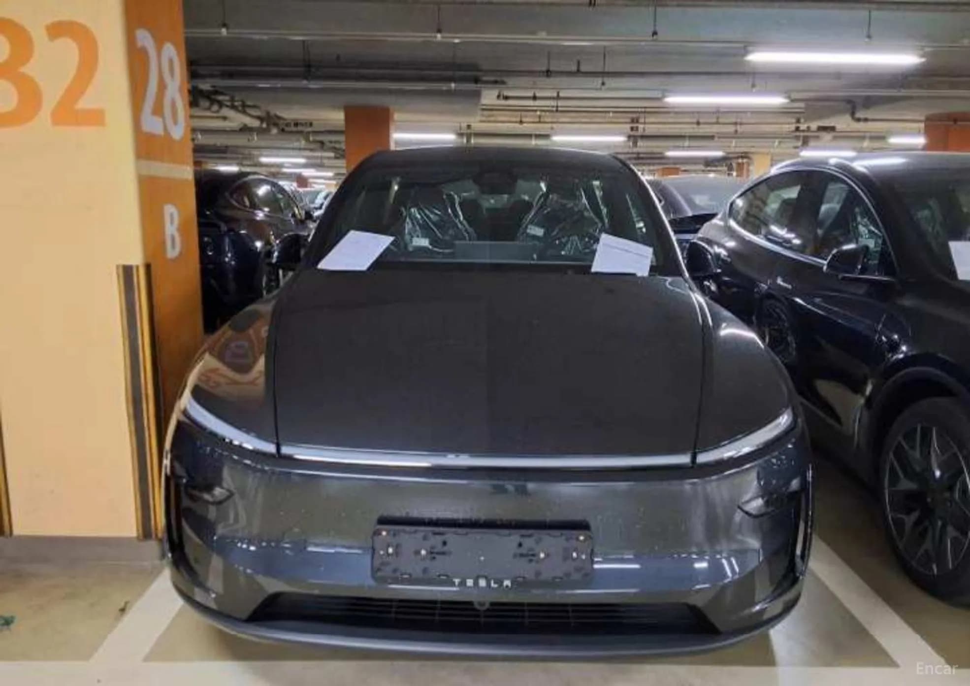 Model Y