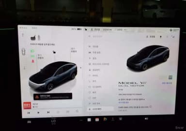 Model Y