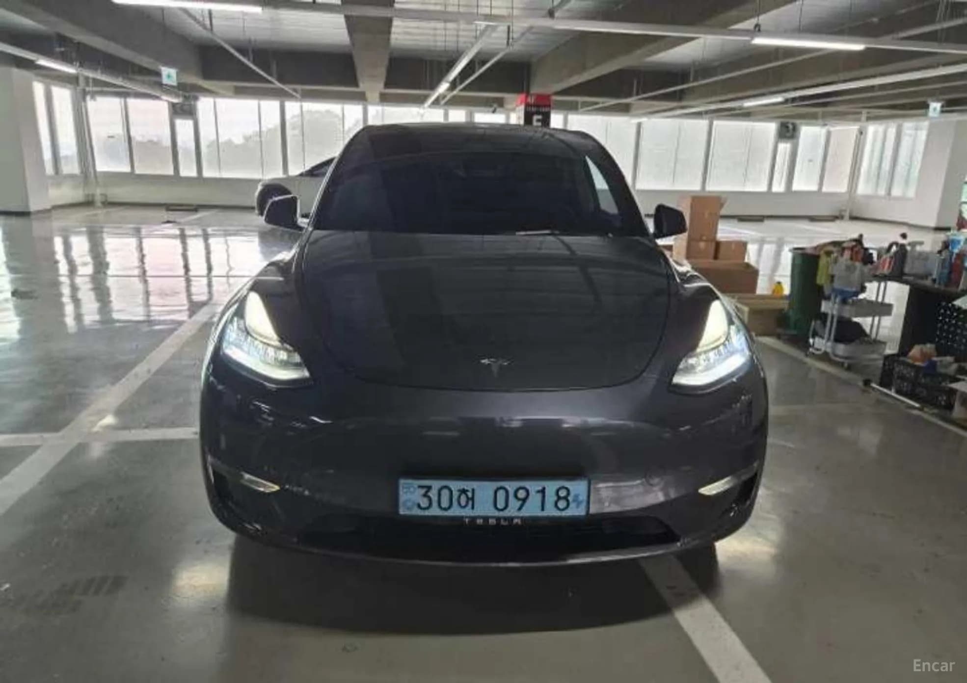 Model Y