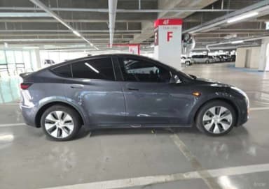 Model Y
