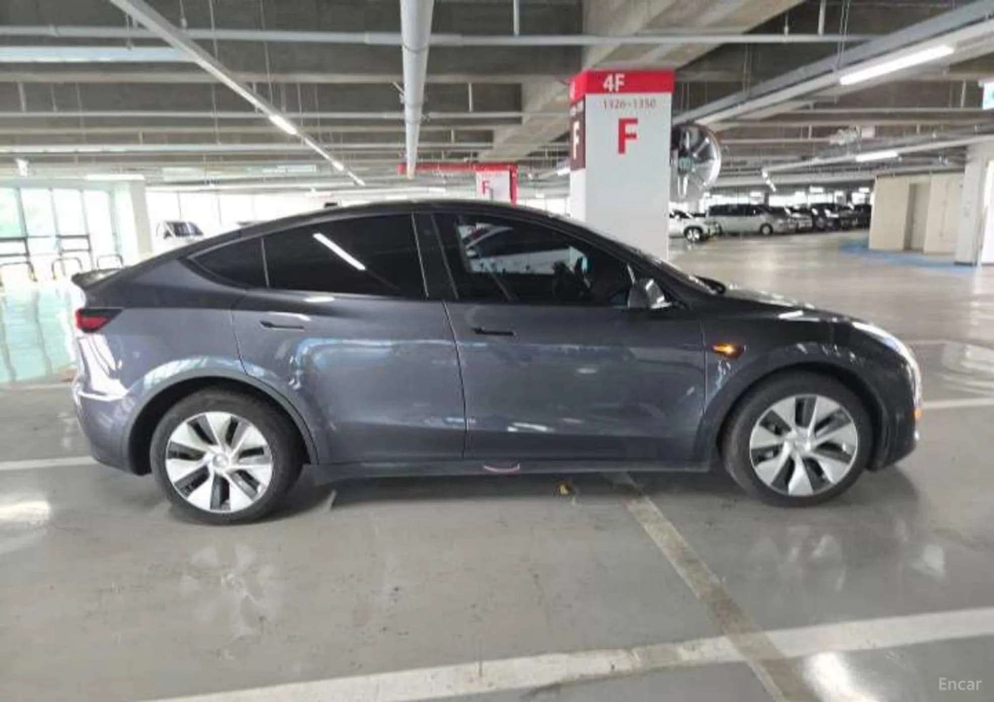 Model Y