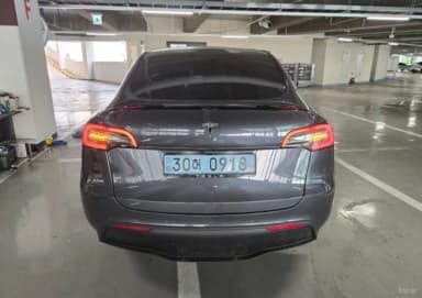 Model Y