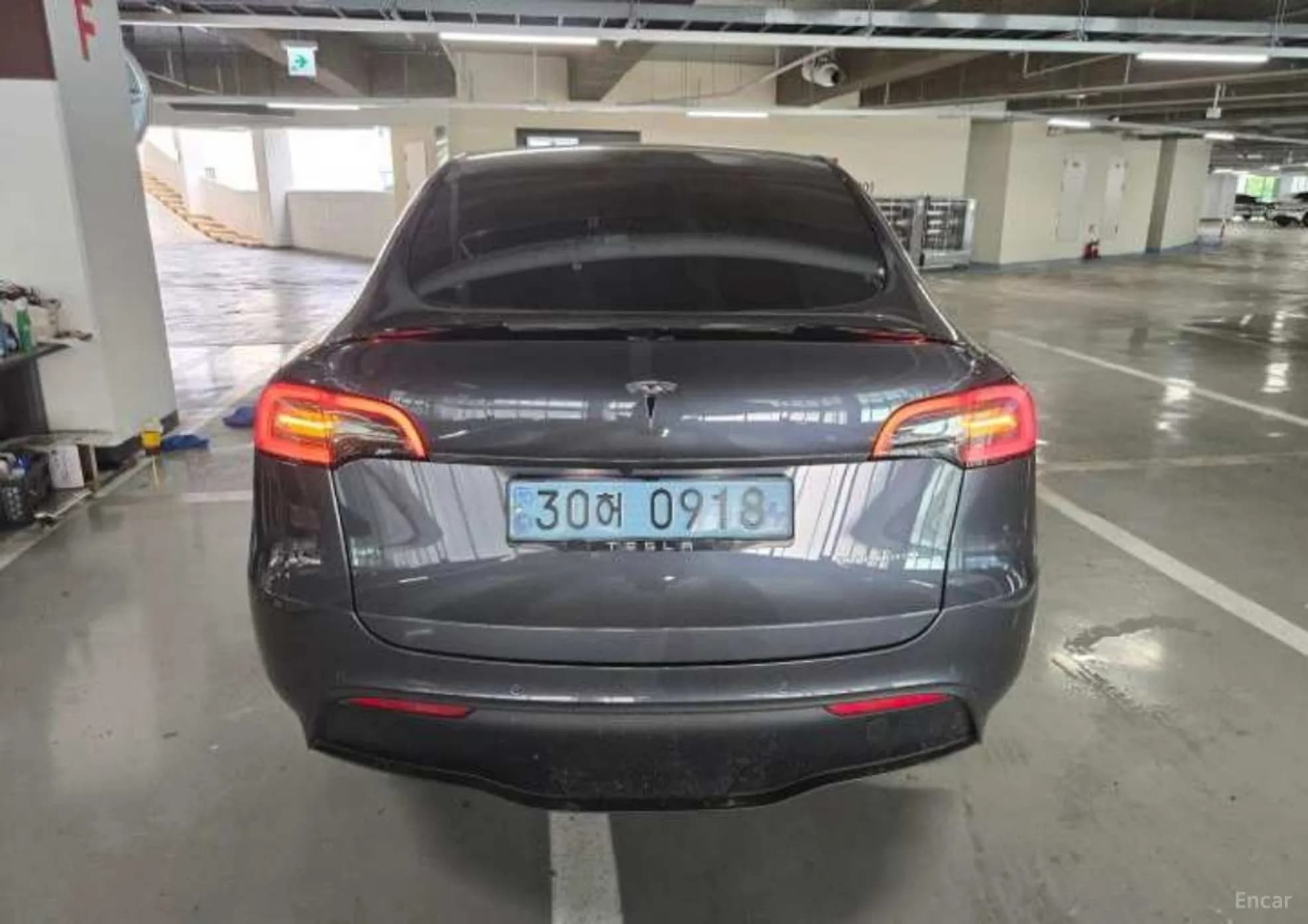 Model Y