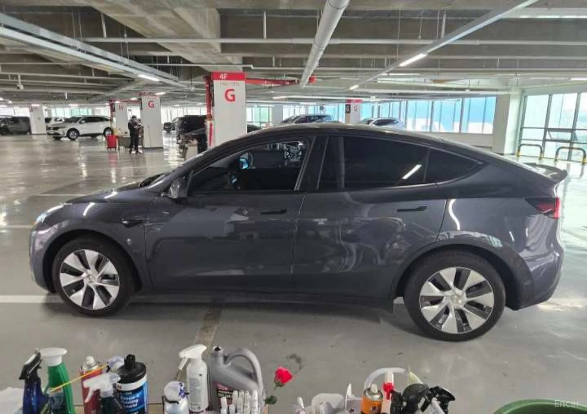Model Y