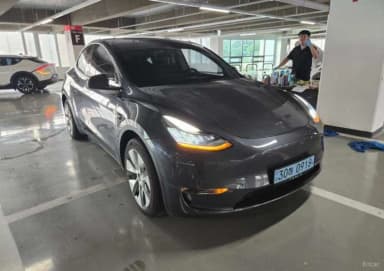 Model Y