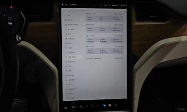 Model X