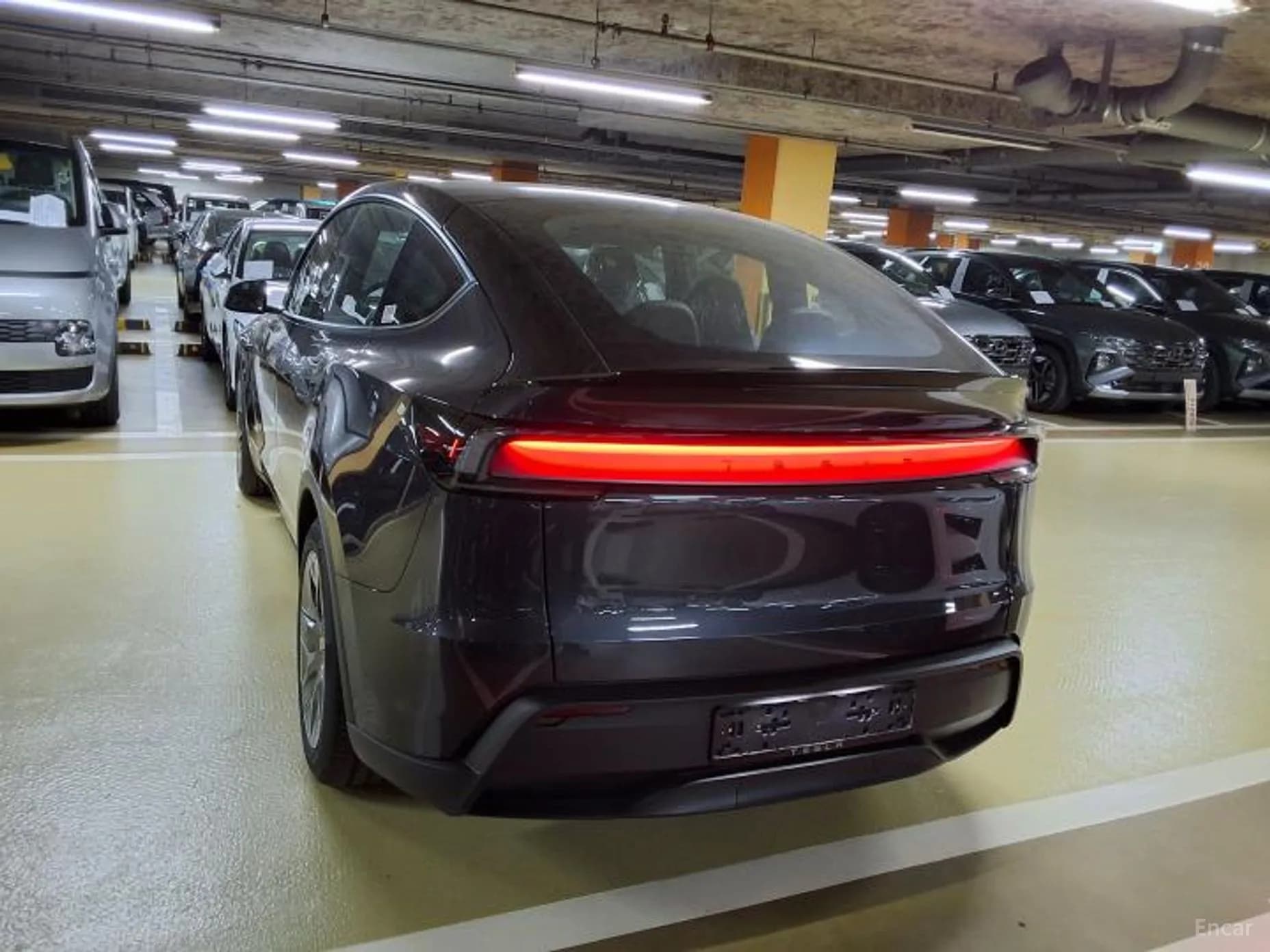 Model Y