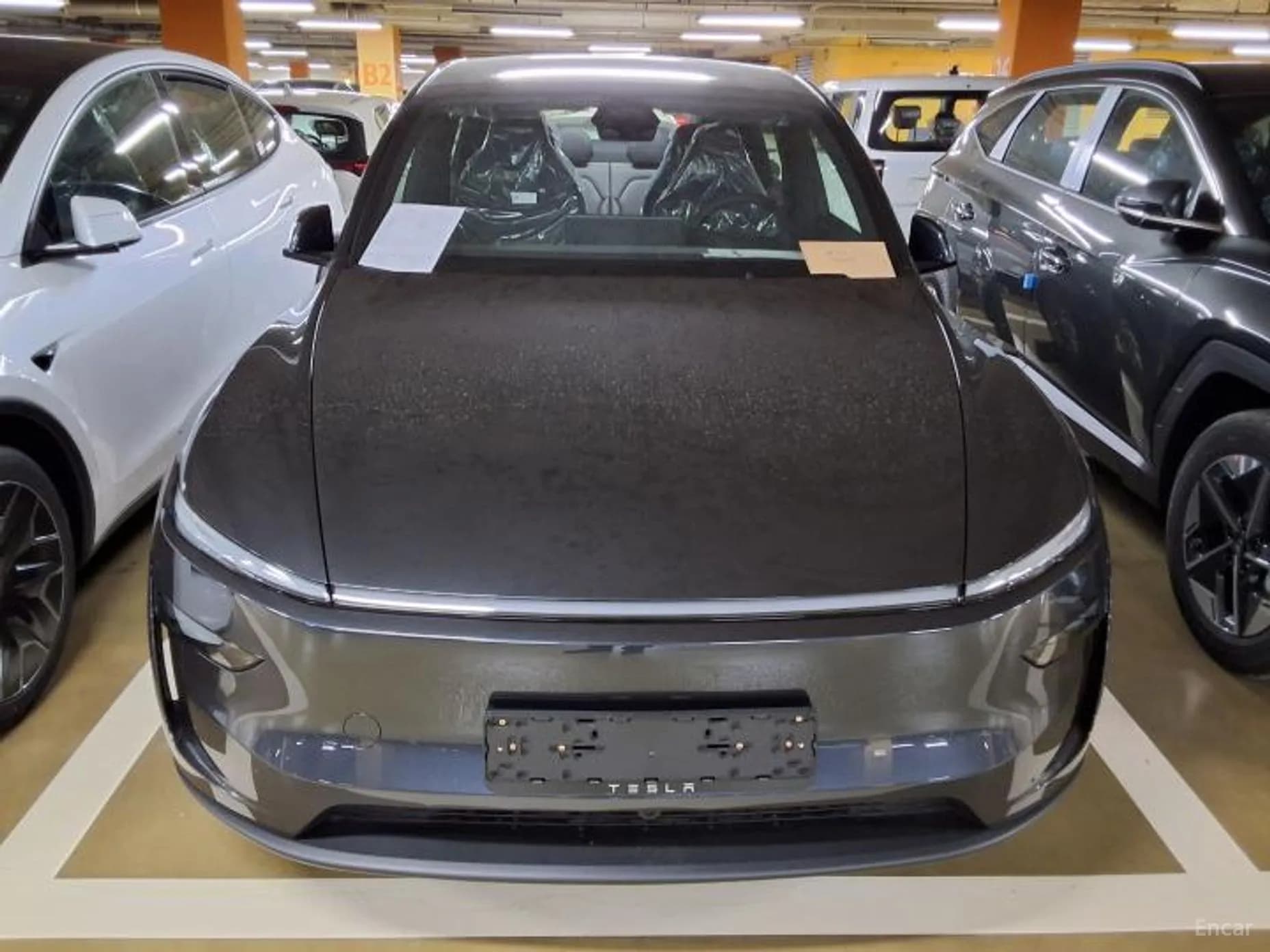 Model Y