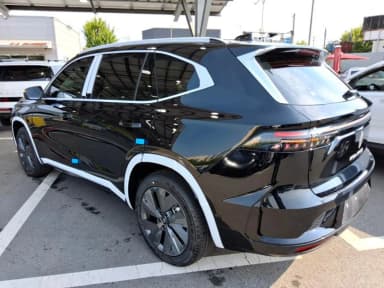 Grang Koleos