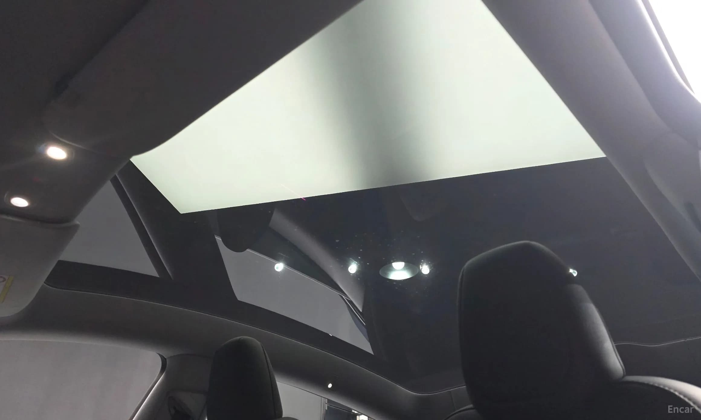 Model Y