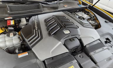 Urus