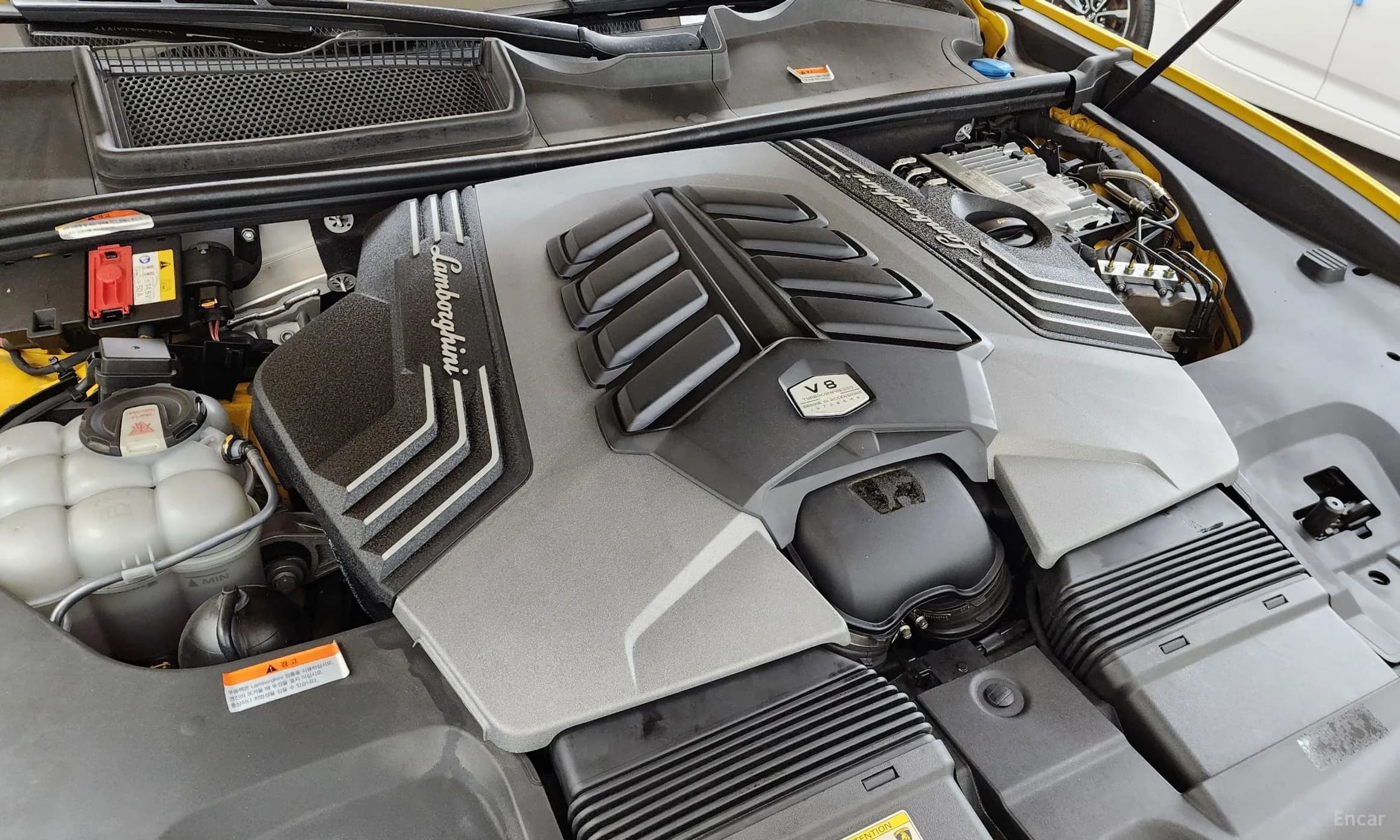 Urus