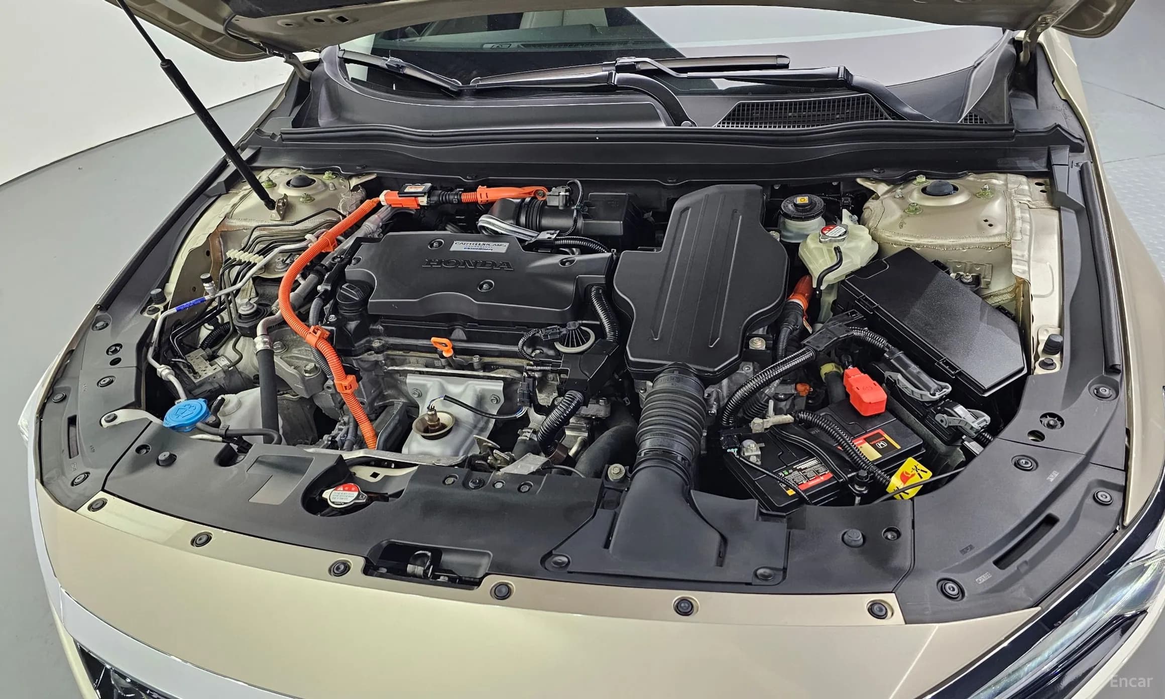 Accord 10th Generation