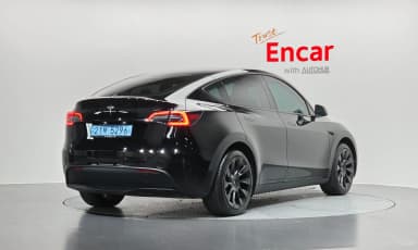 Model Y