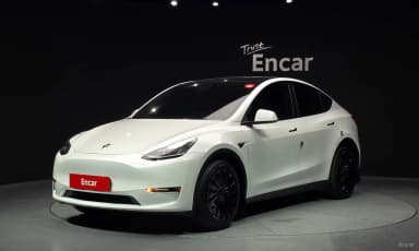 Model Y