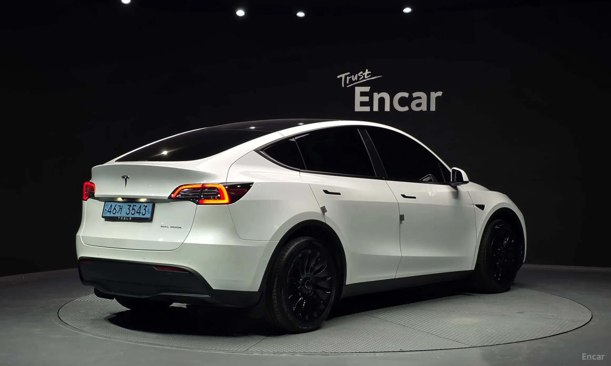 Model Y