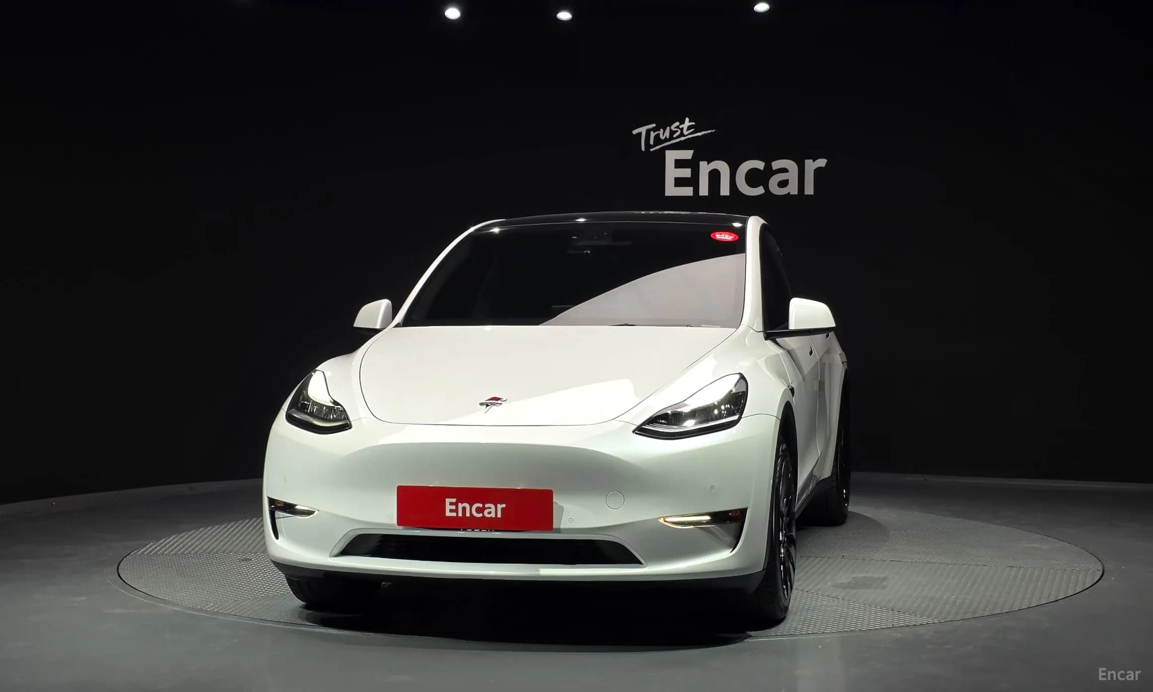Model Y
