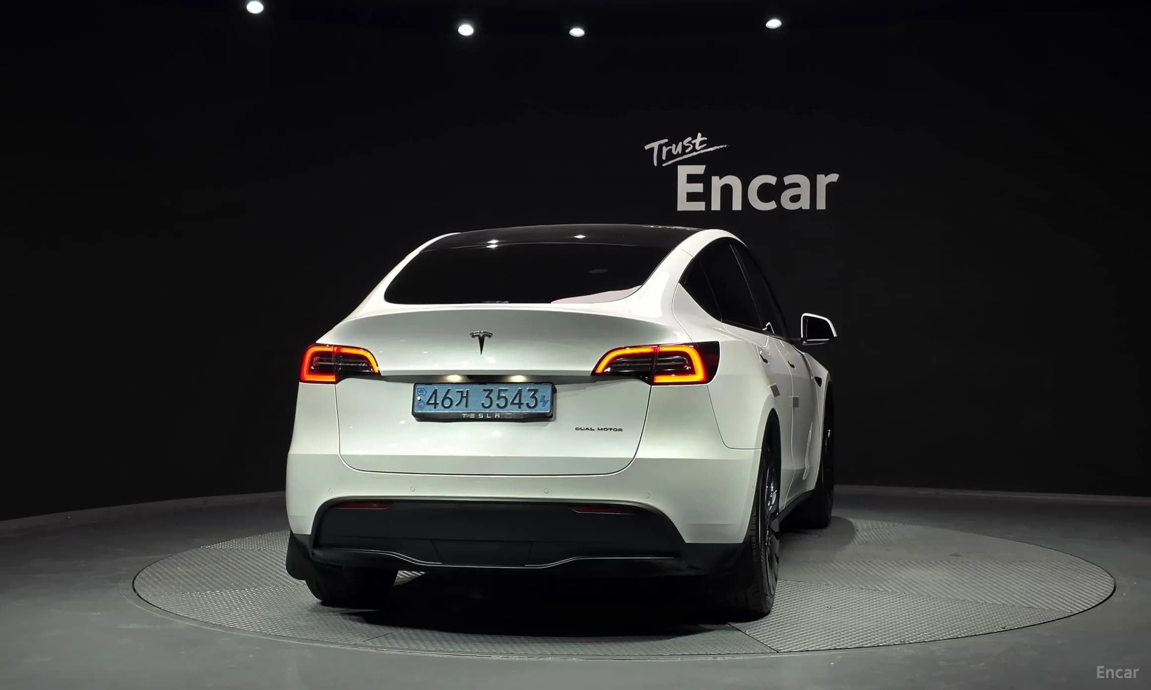 Model Y