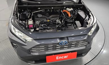 RAV4 5th Generation