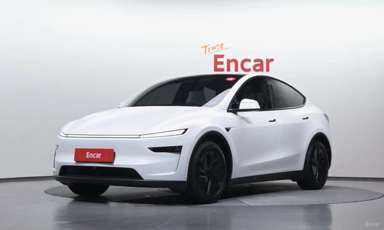 Model Y
