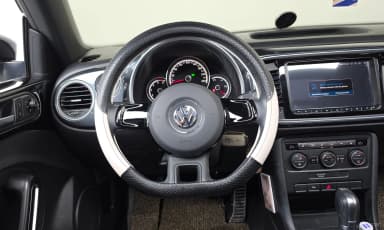 The Beetle