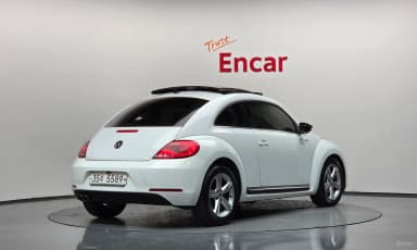The Beetle