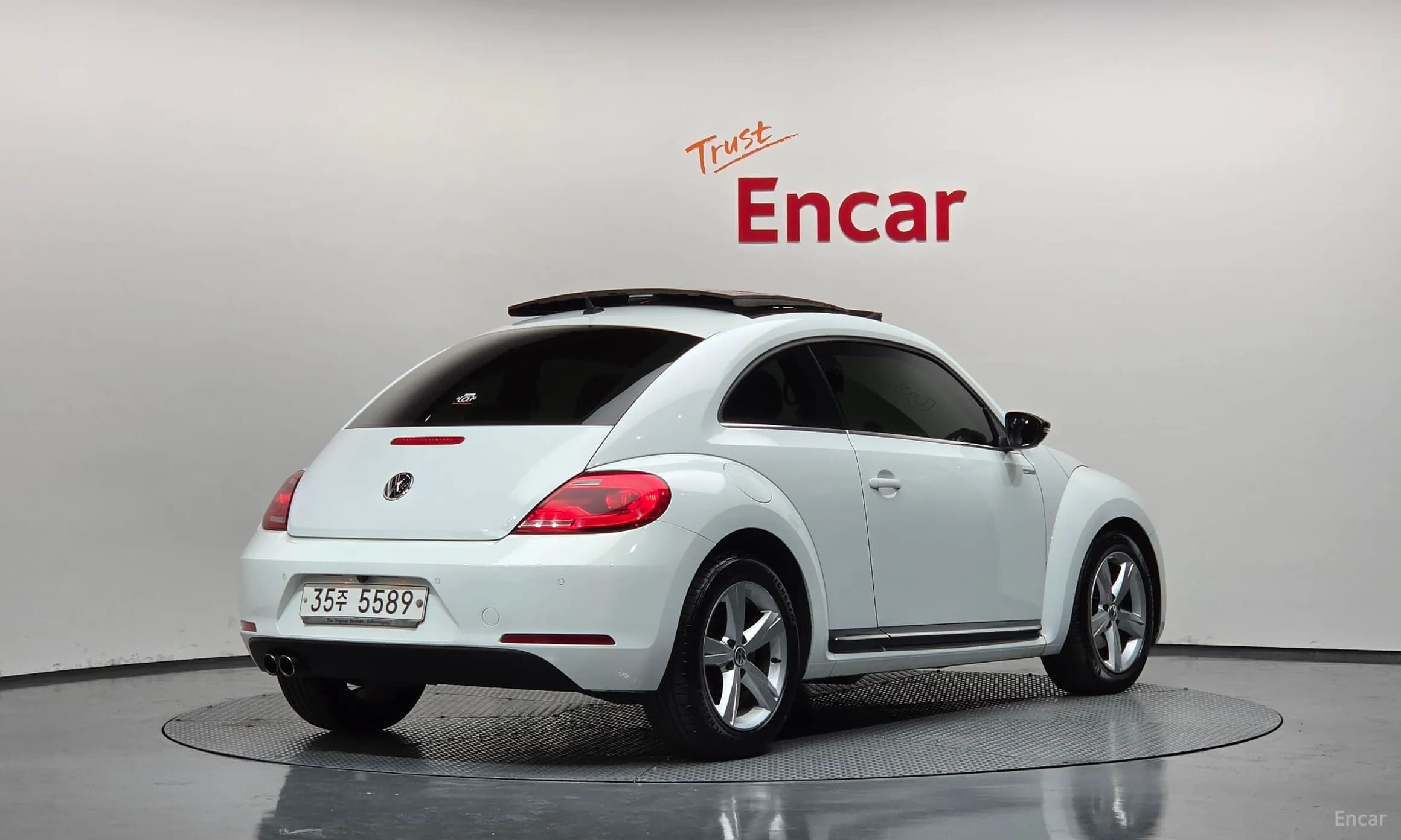 The Beetle