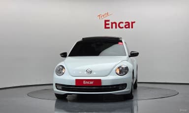 The Beetle