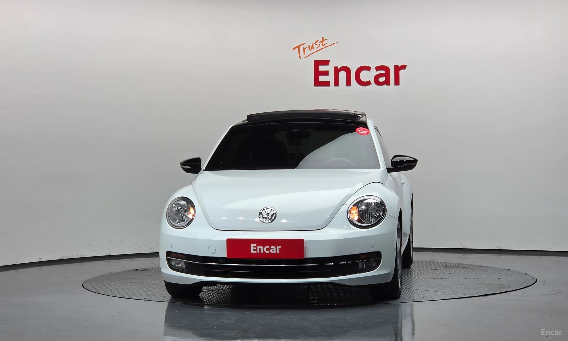 The Beetle