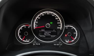 The Beetle