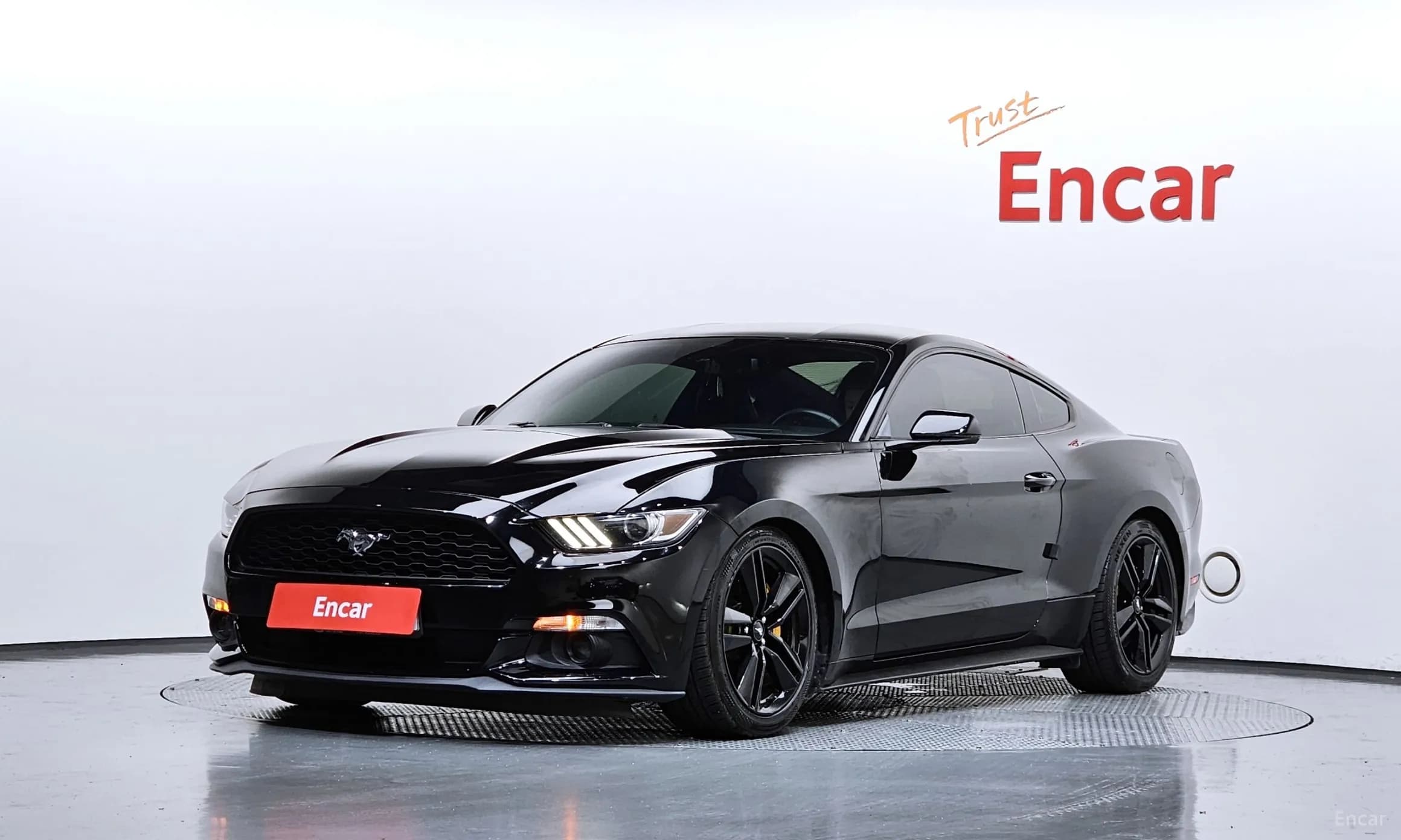 Mustang