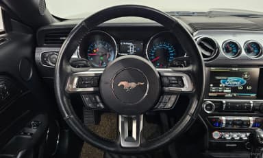 Mustang