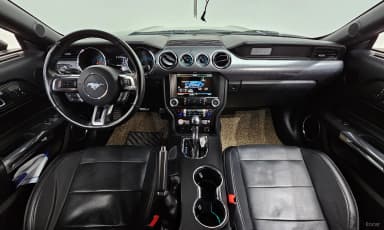 Mustang