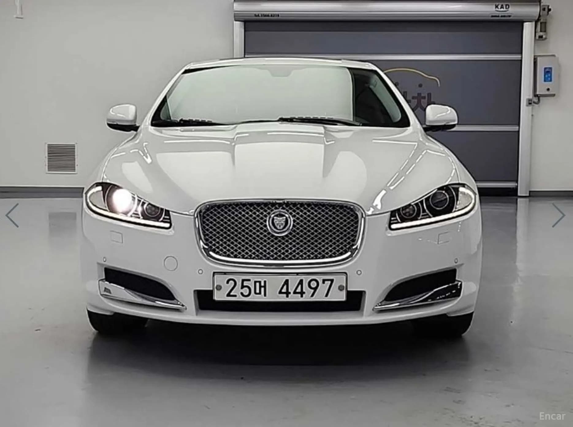 New XF