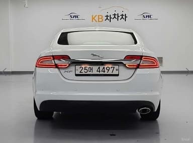 New XF