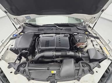 New XF