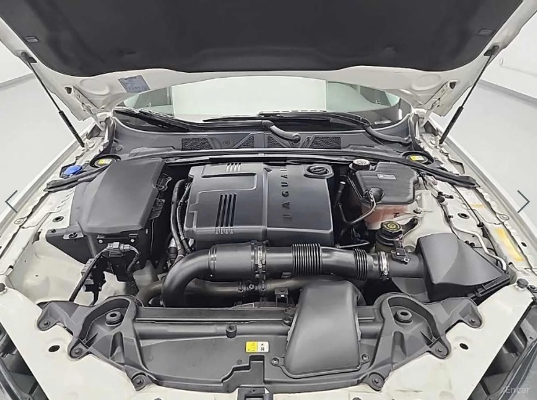 New XF