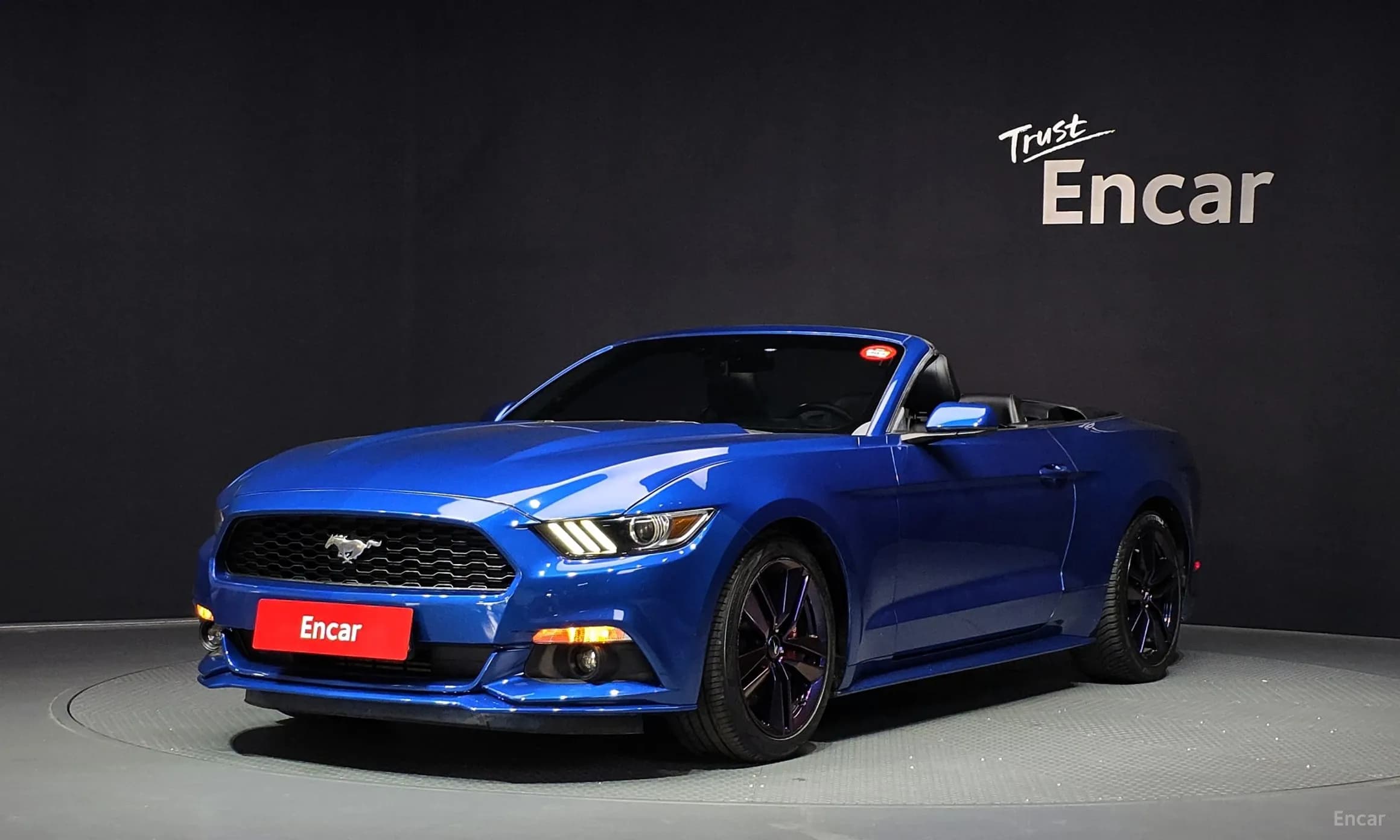 Mustang