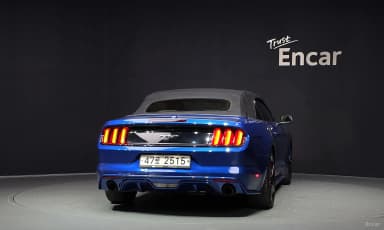 Mustang