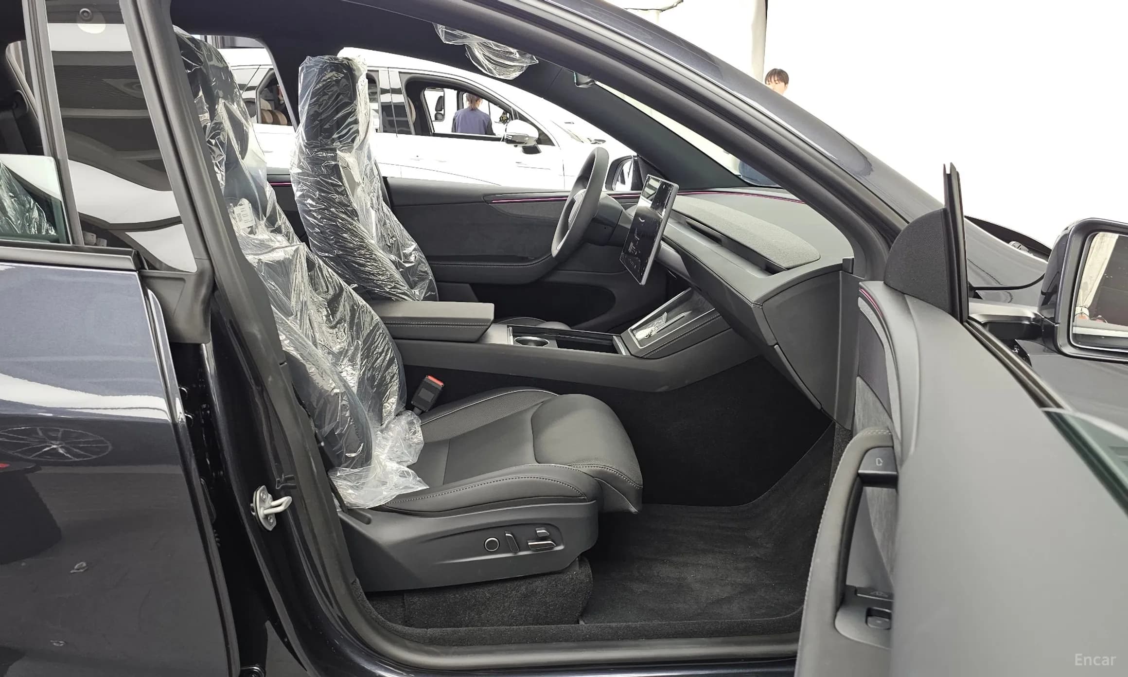 Model Y